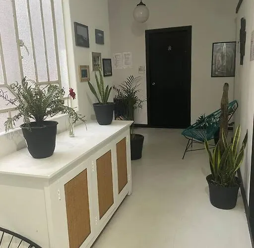 C3 Cuarto Con Terraza En Condesa Homestay *