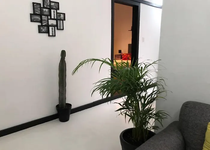 C3 Cuarto Con Terraza En Condesa
